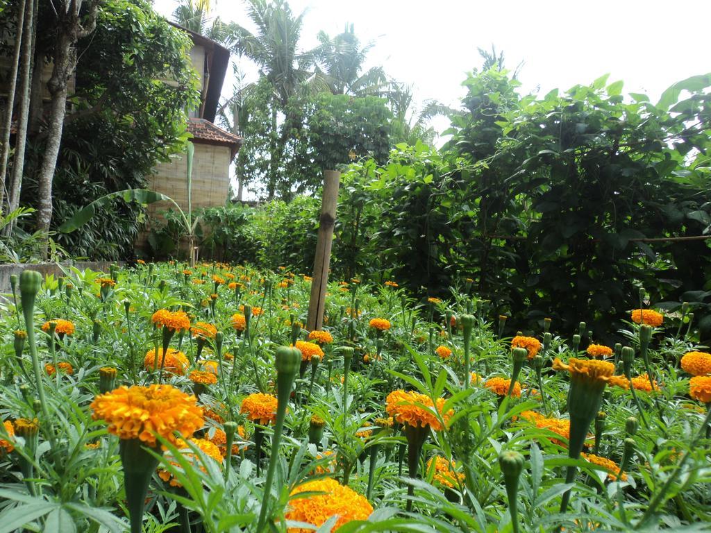 Villa Bhuana Alit Ubud Eksteriør bilde