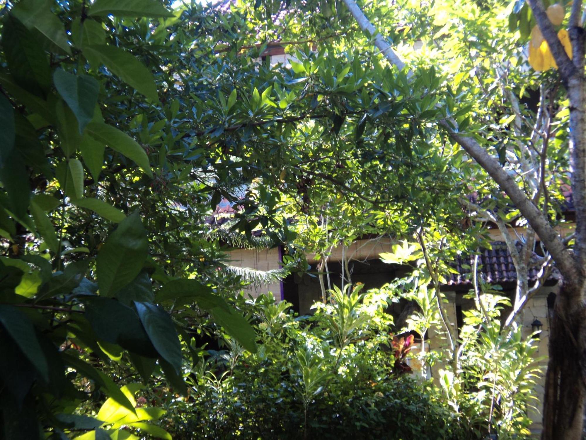 Villa Bhuana Alit Ubud Eksteriør bilde