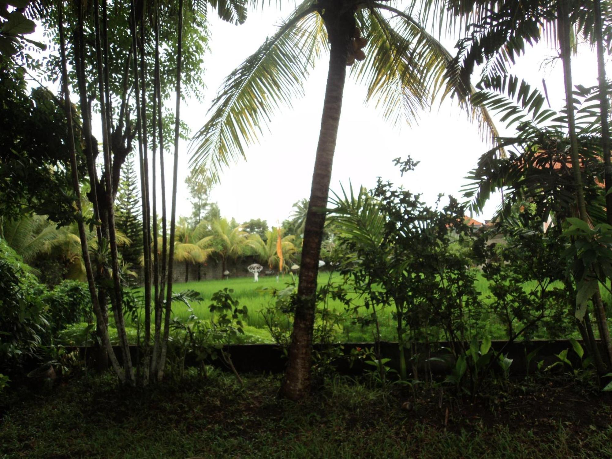 Villa Bhuana Alit Ubud Rom bilde