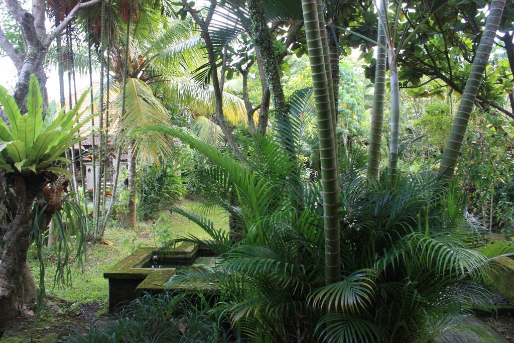 Villa Bhuana Alit Ubud Eksteriør bilde